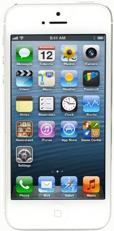 Смартфон Apple iPhone 5 32Gb White & Silver - Чернушка