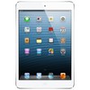 Apple iPad mini 16Gb Wi-Fi + Cellular белый - Чернушка